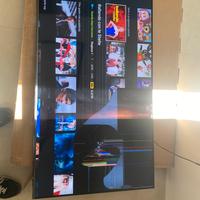 Samsung 55” QLED QE55Q60DA – Ancora in garanzia