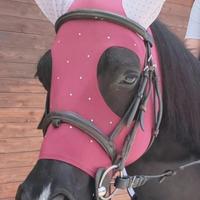 Cuffietta Cavallo