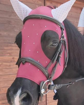 Cuffietta Cavallo