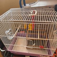 gabbia uccelli come nuova