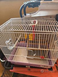 gabbia uccelli come nuova