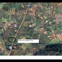 Terreno agricolo