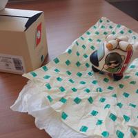 THUN GUARDIA COSTIERA 2022