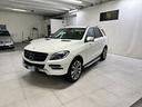mercedes-benz-ml-250-bluetec-4matic-premium