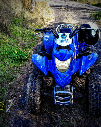 Quad e-ton 150