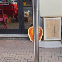 Appendiabito vintage R. Lucci & Orlandini