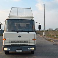 nissan Eco T100 ribaltabile patente C