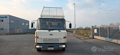 nissan Eco T100 ribaltabile patente C