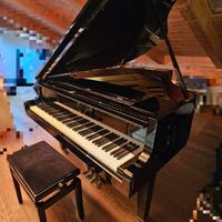 PIANOFORTE BABY GRAND CODA