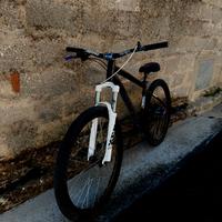 rock rider st520 (wheliee bike)