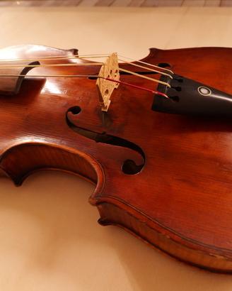 Violino antico Antonio Sandini 1880