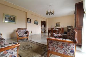 5 LOCALI A LUZZI