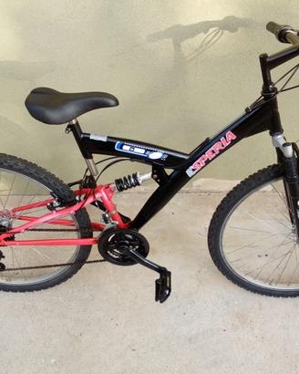 Bici con ammortizzatore