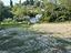 Immagine 12