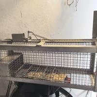 Gabbia artigianale nuova in acciaio inox