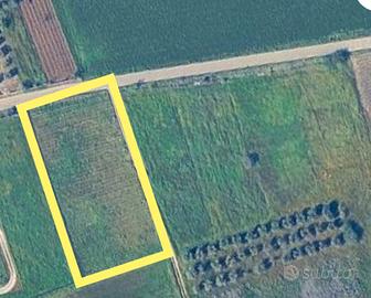 Vendita terreno agricolo