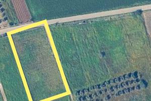 Vendita terreno agricolo