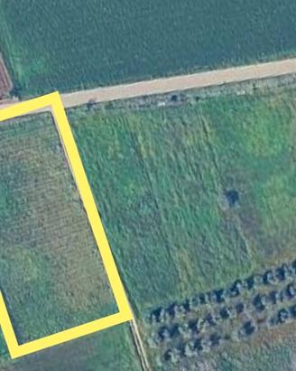 Vendita terreno agricolo