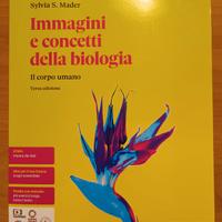 Libro: il corpo unano Zanichelli ISBN: 97888088301