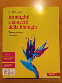 Libro: il corpo unano Zanichelli ISBN: 97888088301