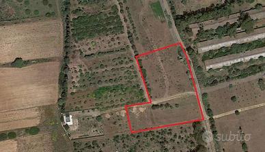Terreno di 6000 m² a Quartu Sant'Elena