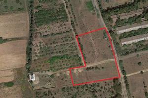 Terreno di 6000 m² a Quartu Sant'Elena