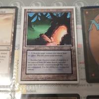 MTG : Safe haven- rifugio sicuro