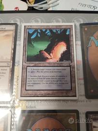 MTG : Safe haven- rifugio sicuro