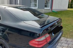 Spoiler auto universale