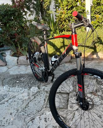 Bicicletta mountain-bike montano
