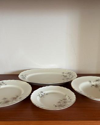 Servizio piatti vintage Richard Ginori porcellana