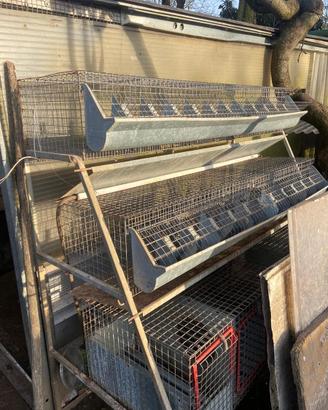 Gabbia per conigli