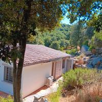 Casa in campagna 1,6 ha con dependance calma