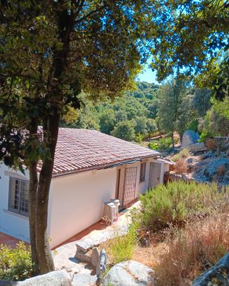 Casa in campagna 1,6 ha con dependance calma