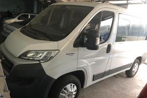 Fiat  Ducato  9 posti 