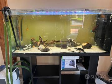 Acquario 300 Lt con accessori