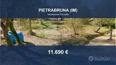 Immobile in asta di 2610 m² a Pietrabruna