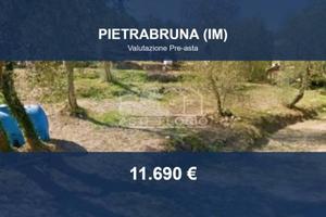 Immobile in asta di 2610 m² a Pietrabruna