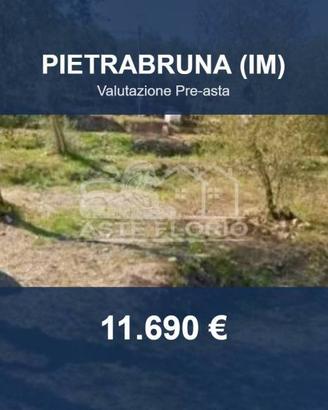 Immobile in asta di 2610 m² a Pietrabruna