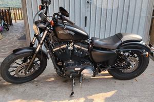 Harley Davidson Iron  883 Sportster
