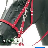 Briglia cavezza pioneer in Biothane rosso
