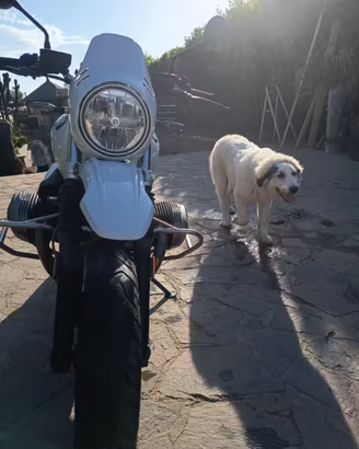 Nine T 1200 gs urban 7000km