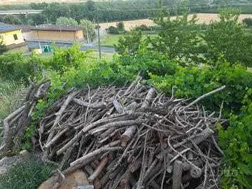 Legna di Pino 