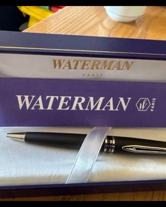 Waterman penna a sfera