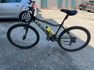 Bicicletta Vicini