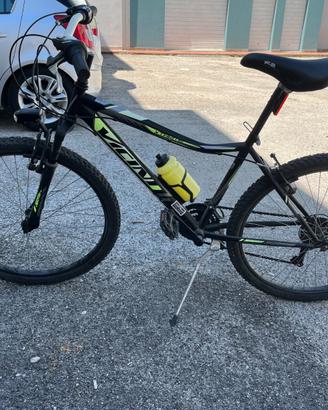 Bicicletta Vicini