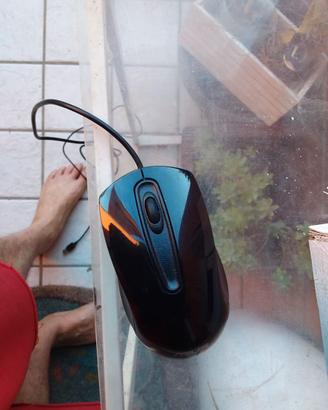 MOUSE ASUS