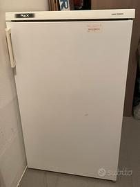 Frigo rex piccolo