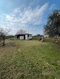 Terreno a Chiaravalle