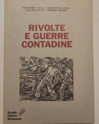 Rivolte e guerre contadine - libro nuovo